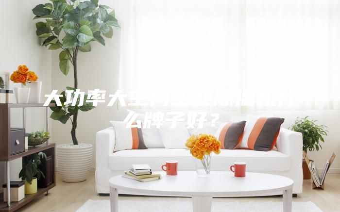 大功率大空間工業(yè)除濕機什么牌子好？