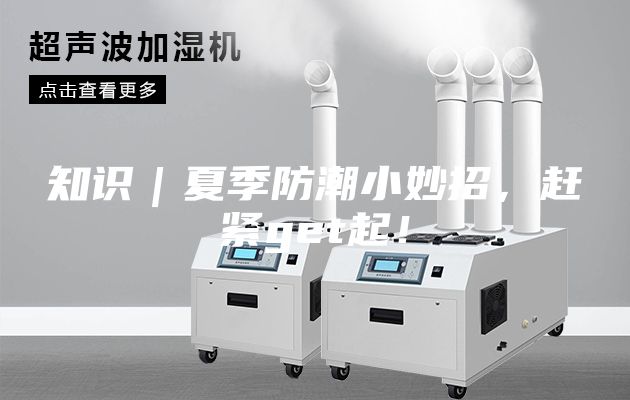 知識｜夏季防潮小妙招，趕緊get起！