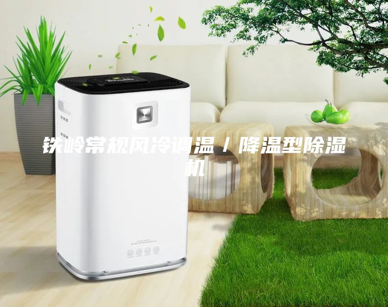 鐵嶺常規(guī)風(fēng)冷調(diào)溫／降溫型除濕機