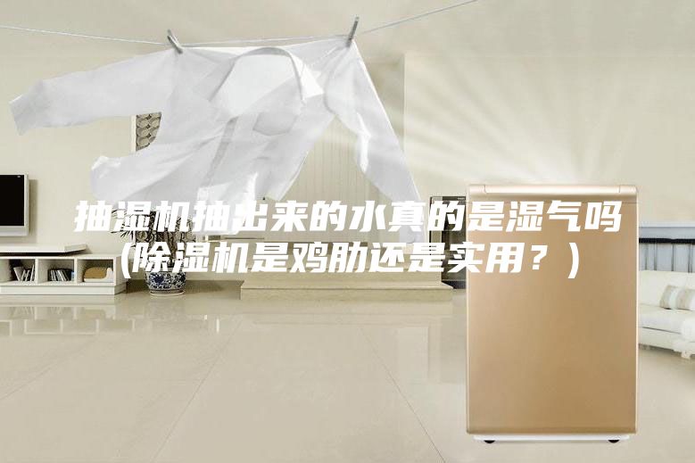 抽濕機抽出來的水真的是濕氣嗎(除濕機是雞肋還是實用？)