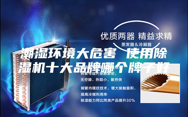 潮濕環(huán)境大危害 使用除濕機(jī)十大品牌哪個牌子好