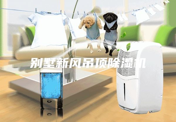 別墅新風(fēng)吊頂除濕機