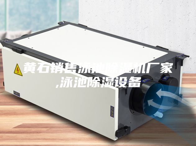 黃石銷(xiāo)售泳池除濕機(jī)廠(chǎng)家,泳池除濕設(shè)備