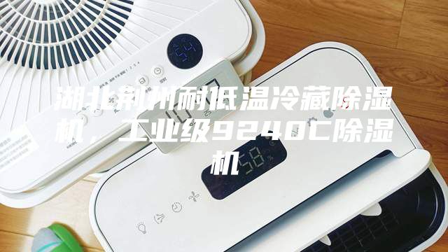 湖北荊州耐低溫冷藏除濕機，工業級9240C除濕機