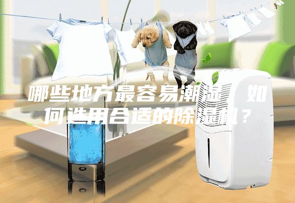 哪些地方最容易潮濕，如何選用合適的除濕機？