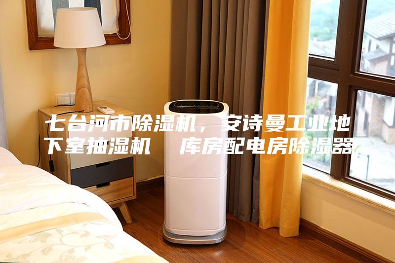 七臺河市除濕機，安詩曼工業(yè)地下室抽濕機  庫房配電房除濕器