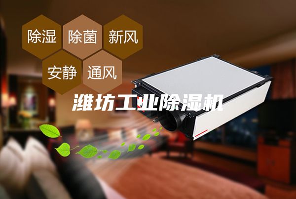 濰坊工業除濕機