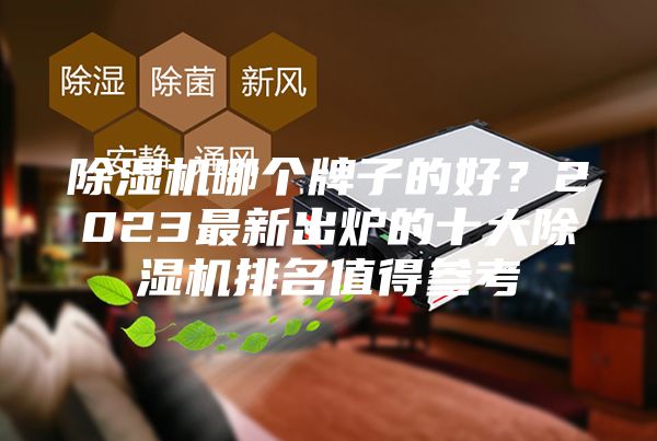 除濕機哪個牌子的好？2023最新出爐的十大除濕機排名值得參考