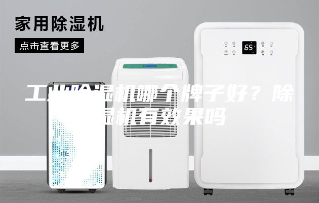 工業除濕機哪個牌子好？除濕機有效果嗎