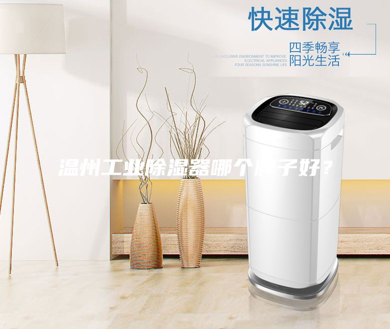 溫州工業(yè)除濕器哪個(gè)牌子好？