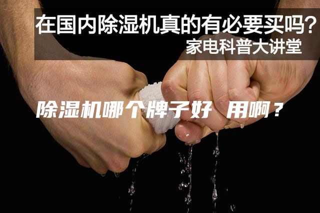 除濕機(jī)哪個(gè)牌子好 用啊？