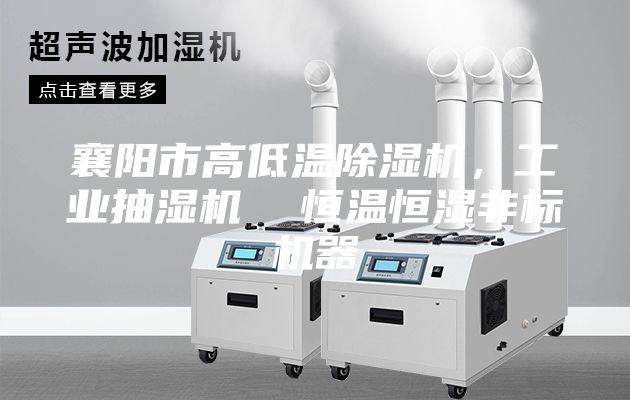 襄陽市高低溫除濕機，工業(yè)抽濕機  恒溫恒濕非標(biāo)機器