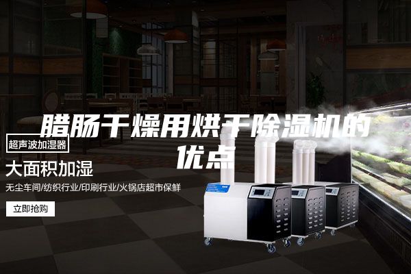 臘腸干燥用烘干除濕機的優點