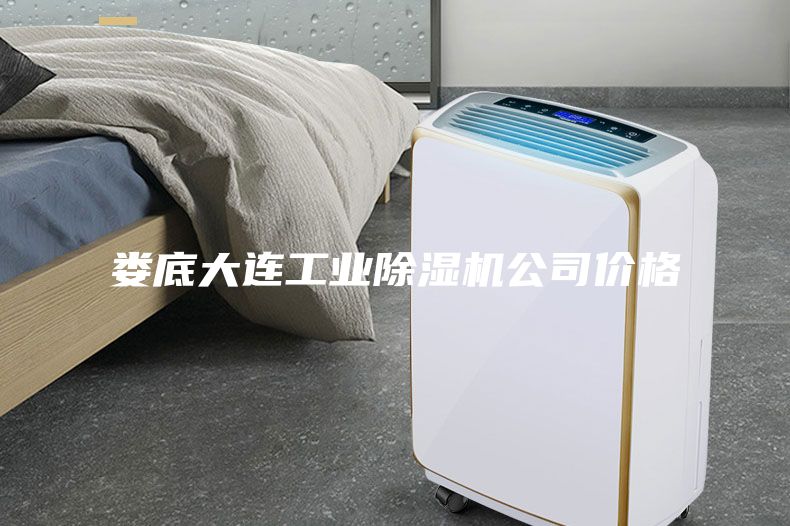 婁底大連工業(yè)除濕機公司價格