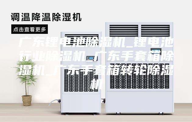 廣東鋰電池除濕機(jī)_鋰電池行業(yè)除濕機(jī)_廣東手套箱除濕機(jī)_廣東手套箱轉(zhuǎn)輪除濕機(jī)