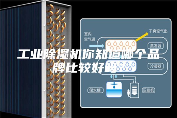 工業除濕機你知道哪個品牌比較好嗎？