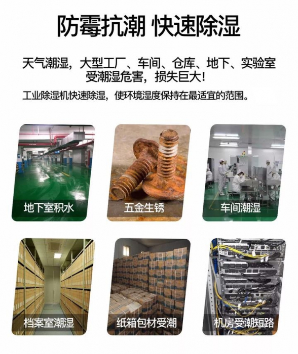 確認過眼神，是對的除濕機