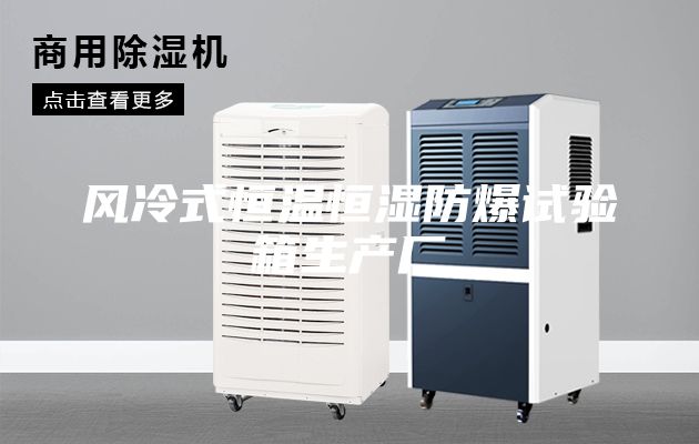 風冷式恒溫恒濕防爆試驗箱生產廠