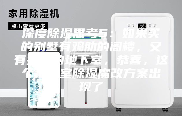 深度除濕思考5：如果買的別墅有雞肋的閣樓，又有操心的地下室，恭喜，這個(gè)地下室除濕魔改方案出現(xiàn)了