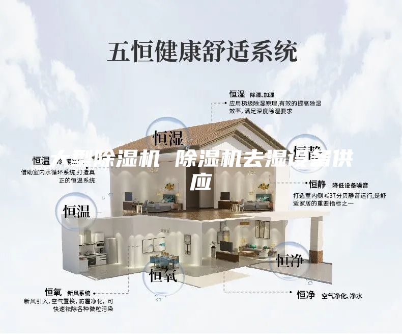 大型除濕機(jī) 除濕機(jī)去濕設(shè)備供應(yīng)