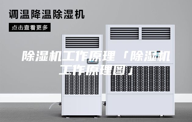 除濕機(jī)工作原理「除濕機(jī)工作原理圖」