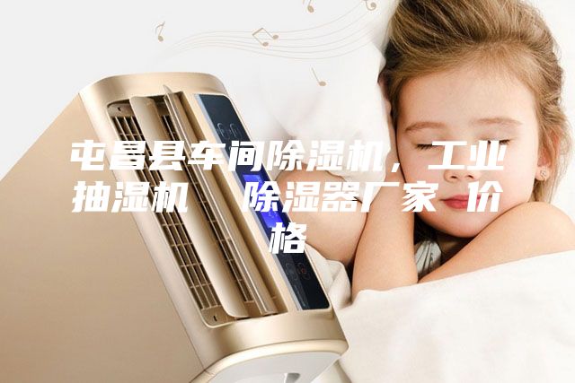 屯昌縣車間除濕機，工業(yè)抽濕機  除濕器廠家 價格
