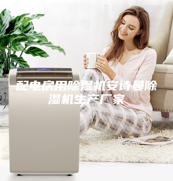 配電房用除濕機安詩曼除濕機生產廠家
