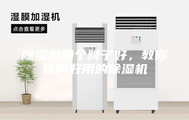 除濕機(jī)哪個(gè)牌子好，教你選購(gòu)好用的除濕機(jī)