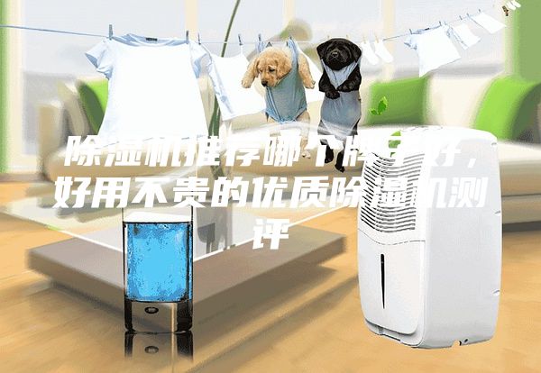 除濕機(jī)推薦哪個(gè)牌子好，好用不貴的優(yōu)質(zhì)除濕機(jī)測(cè)評(píng)