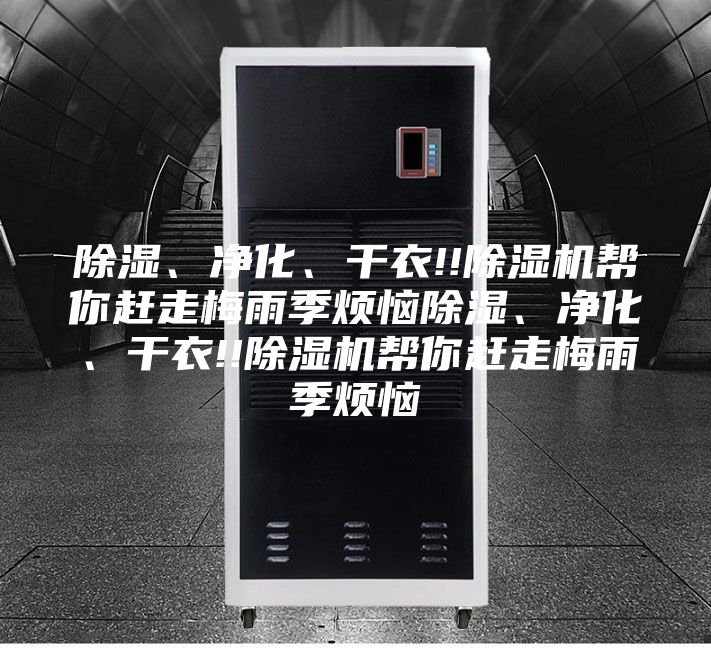除濕、凈化、干衣!!除濕機幫你趕走梅雨季煩惱除濕、凈化、干衣!!除濕機幫你趕走梅雨季煩惱