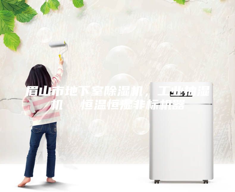 眉山市地下室除濕機，工業抽濕機  恒溫恒濕非標機器