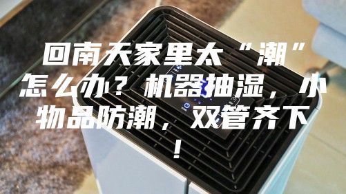 回南天家里太“潮”怎么辦？機器抽濕，小物品防潮，雙管齊下！