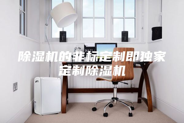 除濕機(jī)的非標(biāo)定制即獨(dú)家定制除濕機(jī)
