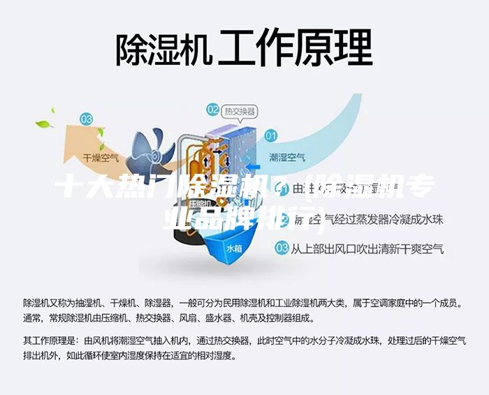 十大熱門除濕機？(除濕機專業品牌排行)