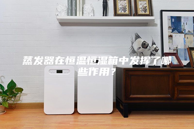 蒸發(fā)器在恒溫恒濕箱中發(fā)揮了哪些作用？