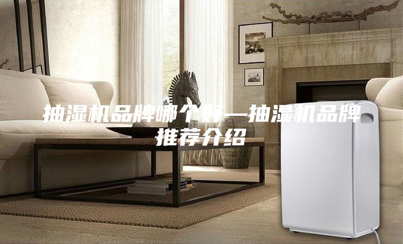 抽濕機品牌哪個好—抽濕機品牌推薦介紹