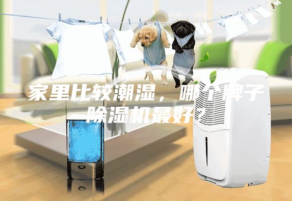 家里比較潮濕，哪個牌子除濕機最好？