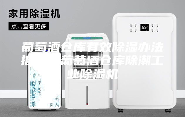 葡萄酒倉庫有效除濕辦法推薦？葡萄酒倉庫除潮工業除濕機