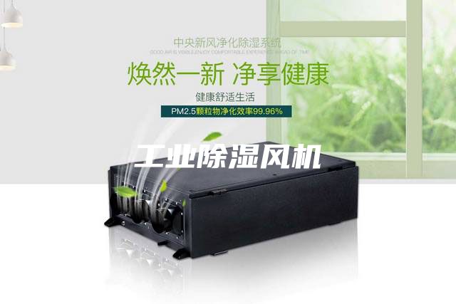 工業(yè)除濕風(fēng)機(jī)