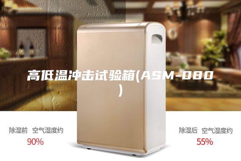 高低溫沖擊試驗箱(ASM-080)