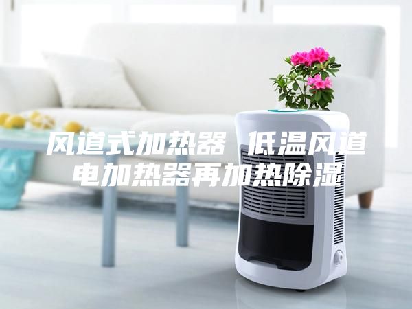 風道式加熱器 低溫風道電加熱器再加熱除濕